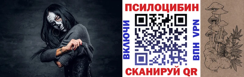 Галлюциногенные грибы Psilocybine cubensis  Купить  Новочеркасск 