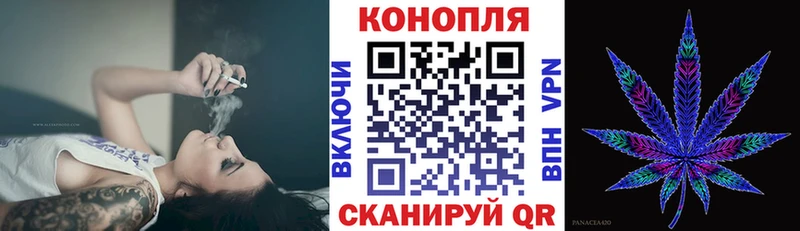 Купить где Новочеркасск Бошки марихуана Ganja